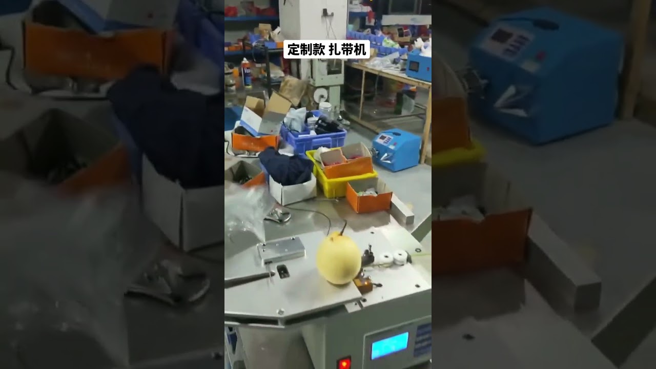 Mesin Ikat Kabel Tersuai untuk Beg Buah, Beg Ais Krim & Pelbagai Produk Lain - Automasi Pembungkusan