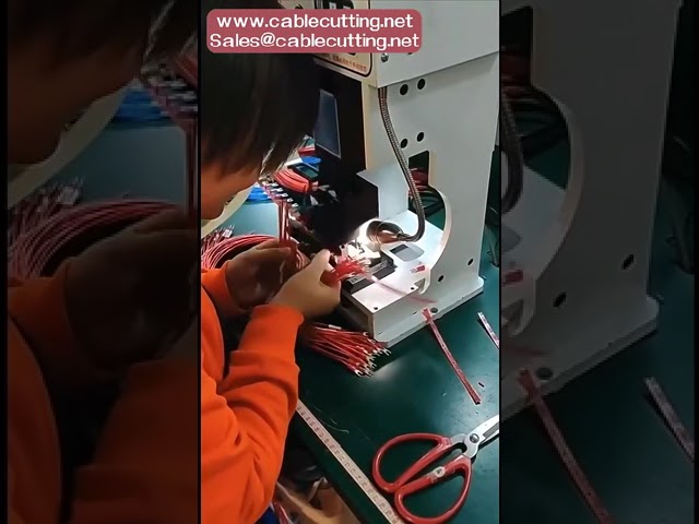 Dapatkan Sampel Percuma Terminal Spade Jantan Bertebat Warna Biru - Penyambung Wayar Crimp Berkualiti