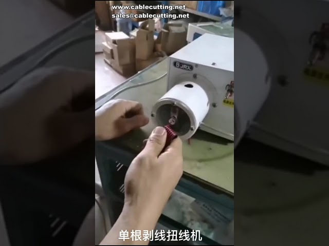 Mesin Pelucutan dan Pemulas Pneumatik untuk Wayar Getah | Automasi Lukisan & Letakan Pelbagai Teras