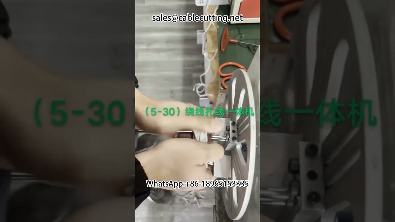 Peralatan Automasi Bukan Standard Tersuai untuk Pemprosesan Wayar | Automasi Kilang