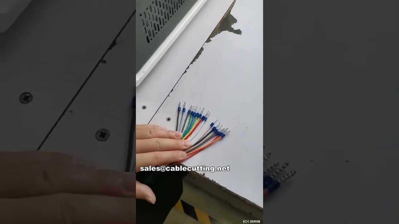 Mesin Strip & Crimp Wayar Automatik untuk Terminal Pra-Penebat WPM-5-40