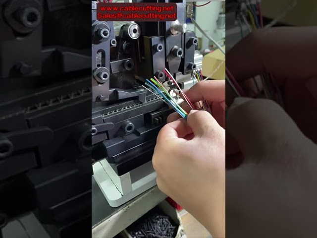 Mesin Crimping Terminal XH2 54 untuk Molex & JST | Separa Automatik, Strip & Crimp Kabel