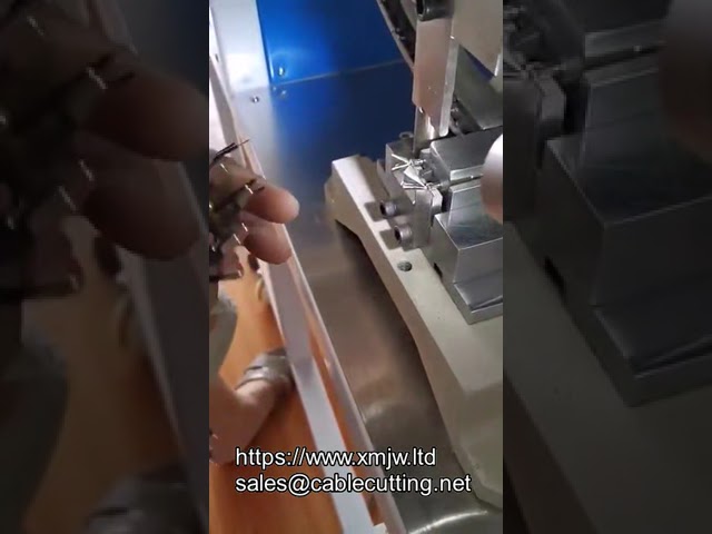 Mesin Crimping Automatik Separa untuk Plug 2 Pin
