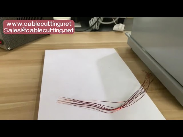 Mesin Penanggal Wayar Enamel Magnet – untuk Motor dan Transformer