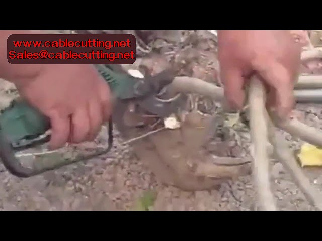 Gunting Pemangkas Pneumatik – Alat Taman & Bonsai dengan Cengkaman Tidak Licin