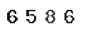 Verification Code Image